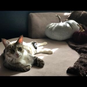 Meet your Posher, Kat